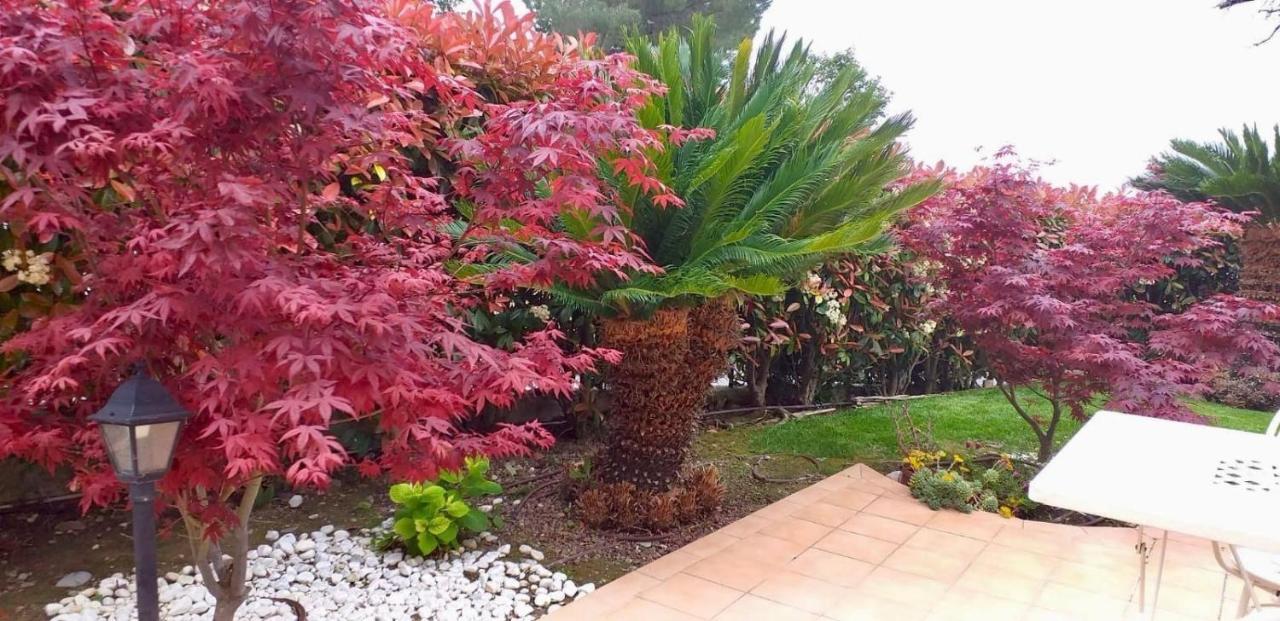 Villa Gaia - Luxury Villa, Pool & Wellness Rooms Bordighera Kültér fotó