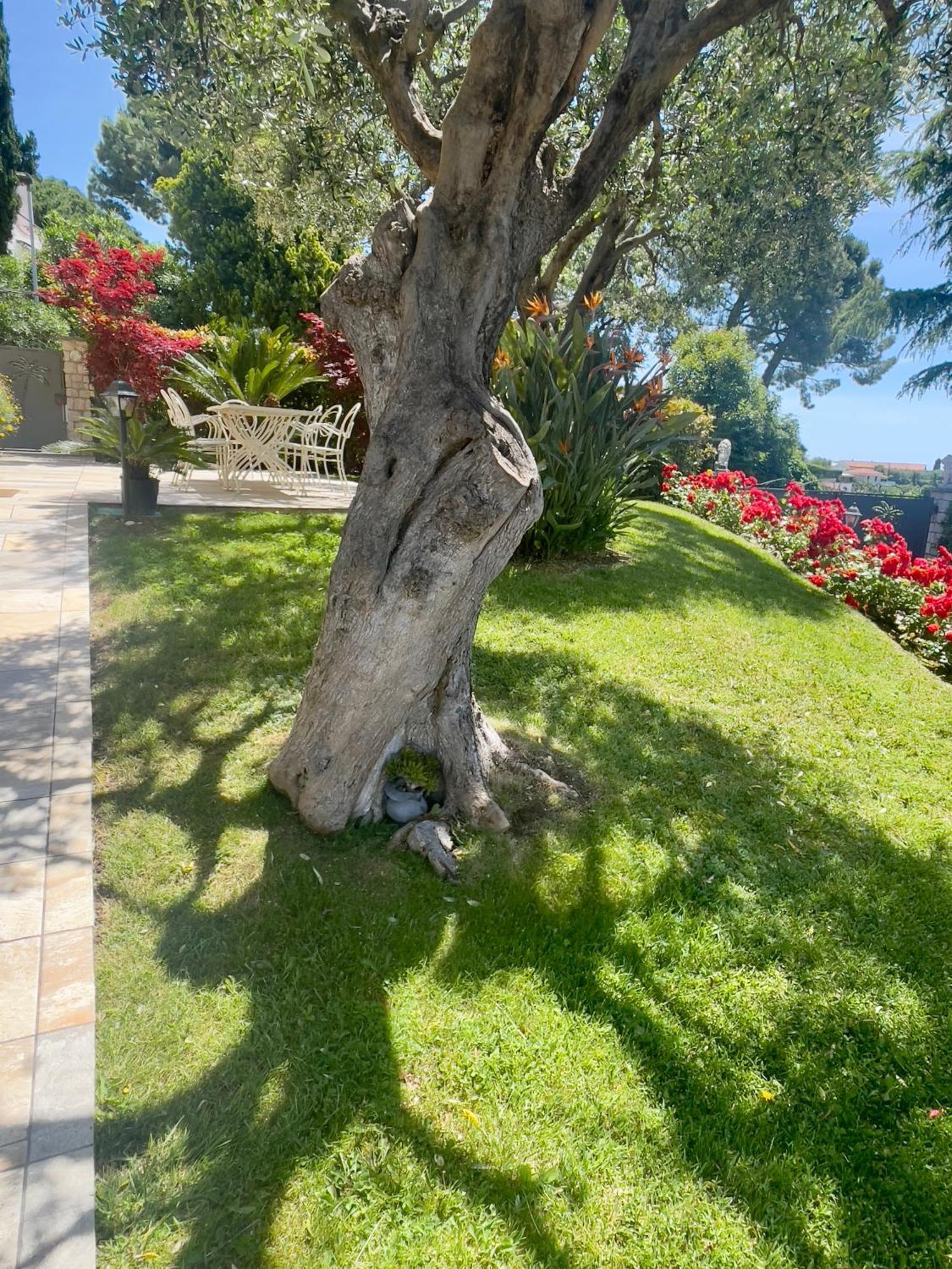 Villa Gaia - Luxury Villa, Pool & Wellness Rooms Bordighera Kültér fotó